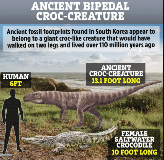 فسیل یک هیولای تاریخی با دوپا که ترکیبی از دایناسور و کروکدیل بوده!