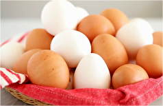 تخم مرغ آبپز چگونه باعث کاهش وزن می‌شود؟