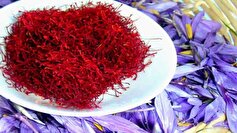 کاهش صادرات زعفران هرات