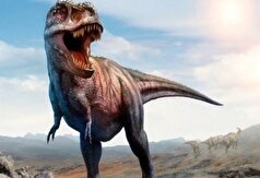 دایناسور‌ها نسل پیشین ما با ویژگی‌های مشترک!