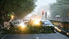 هشدار وزش باد شدید در تهران
