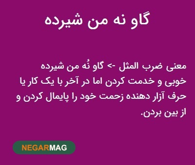 ضرب المثل