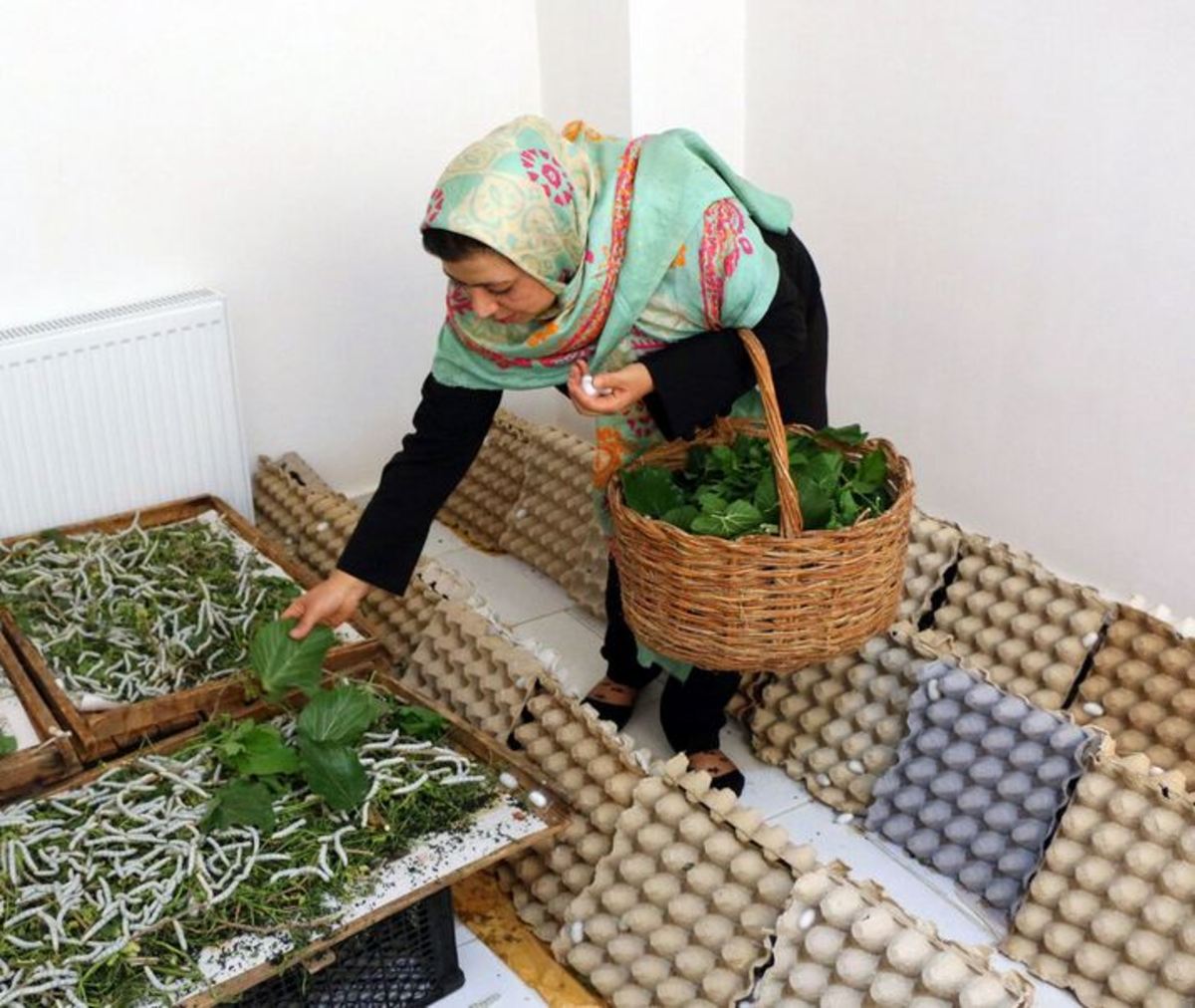 یک تا ۱۰ میلیون تومان سرمایه‌گذاری برای ایجاد اشتغال
