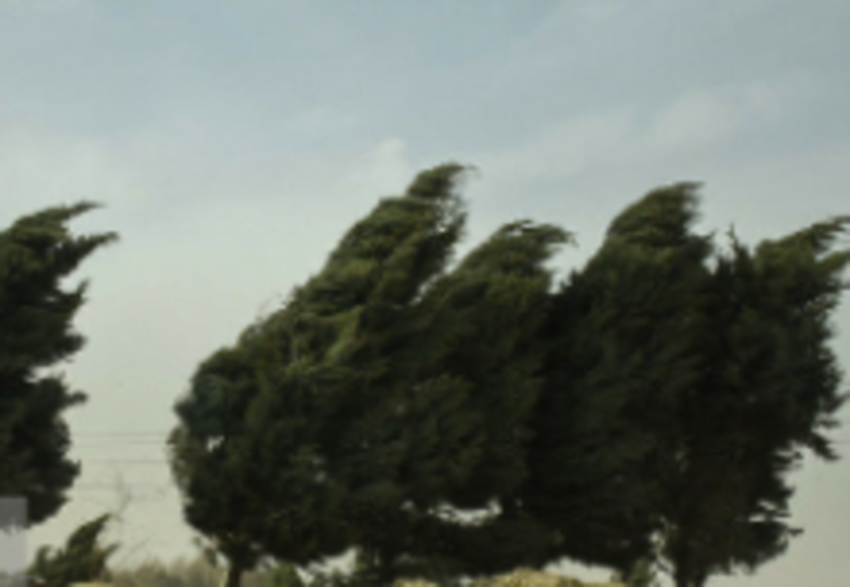 وزش باد شدید در ۹ استان/ کاهش محسوس دما در ۴ استان