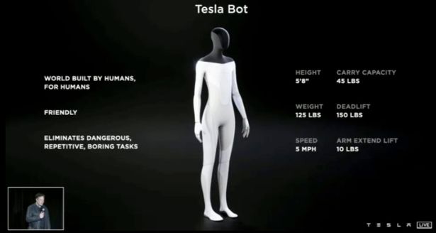 Tesla Bot؛ ربات‌های دارای شخصیت که با انسان دوست می‌شوند