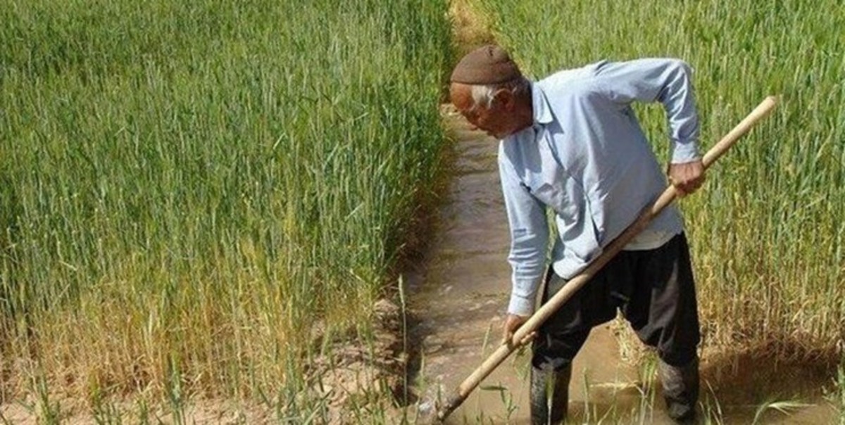 خبر خوب بیمه‌ای برای کشاورزان: با بخشنامه تامین اجتماعی برای ابطال قانون معافیت سهم کارفرما مخالفت شد