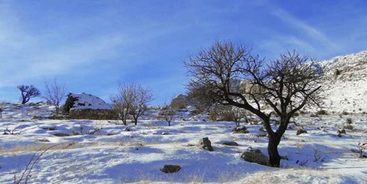 یخبندان در ۲۴ استان و آلودگی هوا در برخی کلانشهر‌ها / سامانه بارشی تازه در راه است