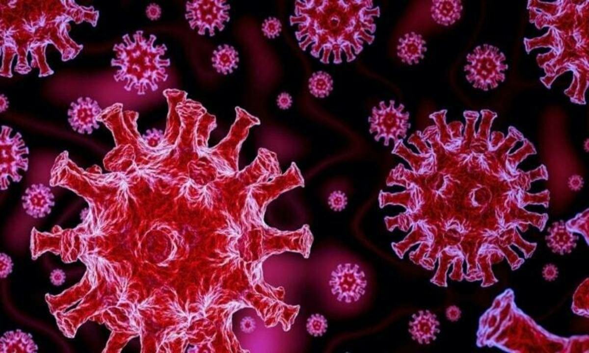 شناسایی ۶ بیمار جدید مبتلا به سویه اُمیکرون در کشور