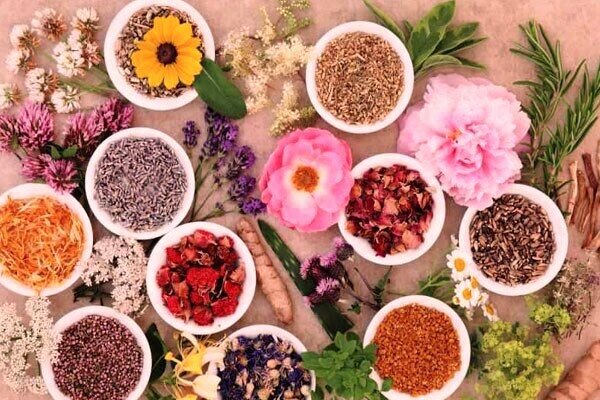 داور‌های گیاهی را با مجوز وزارت بهداشت وتحت نظر پزشک مصرف کنید