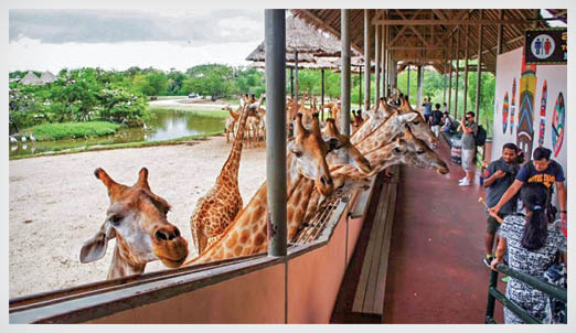 شرایط متفاوت حیوانات در برخی باغ‌وحش‌های دنیا