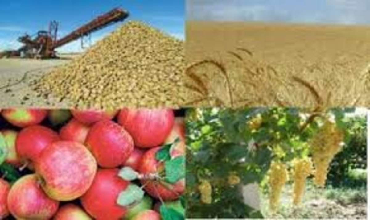 اختصاص ارز ۴۲۰۰ تومانی کالا‌های مشمول کشاورزی در دی ماه