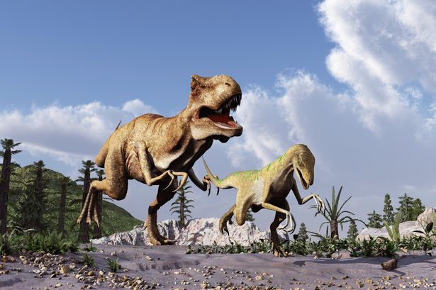 کشف محل زندگی دایناسور‌های ساروپود!