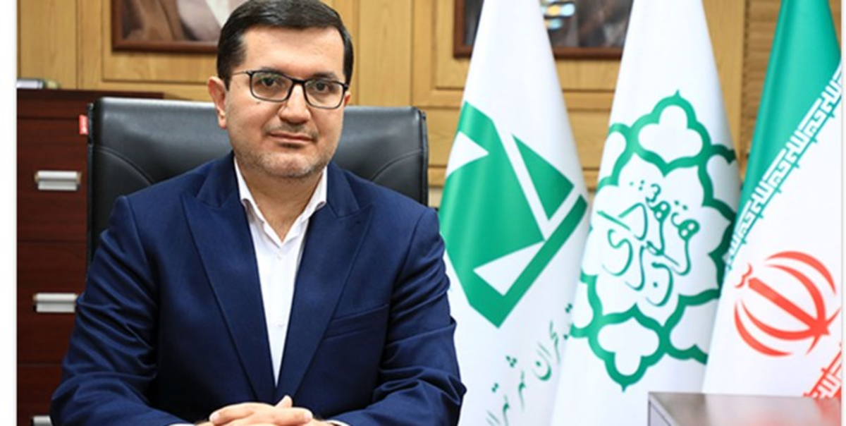 پیش‌شرط‌های مهم پیشگیری از وقوع بحران در پایتخت/هشدار درباره خطر گسل و گود‌های پرخطر