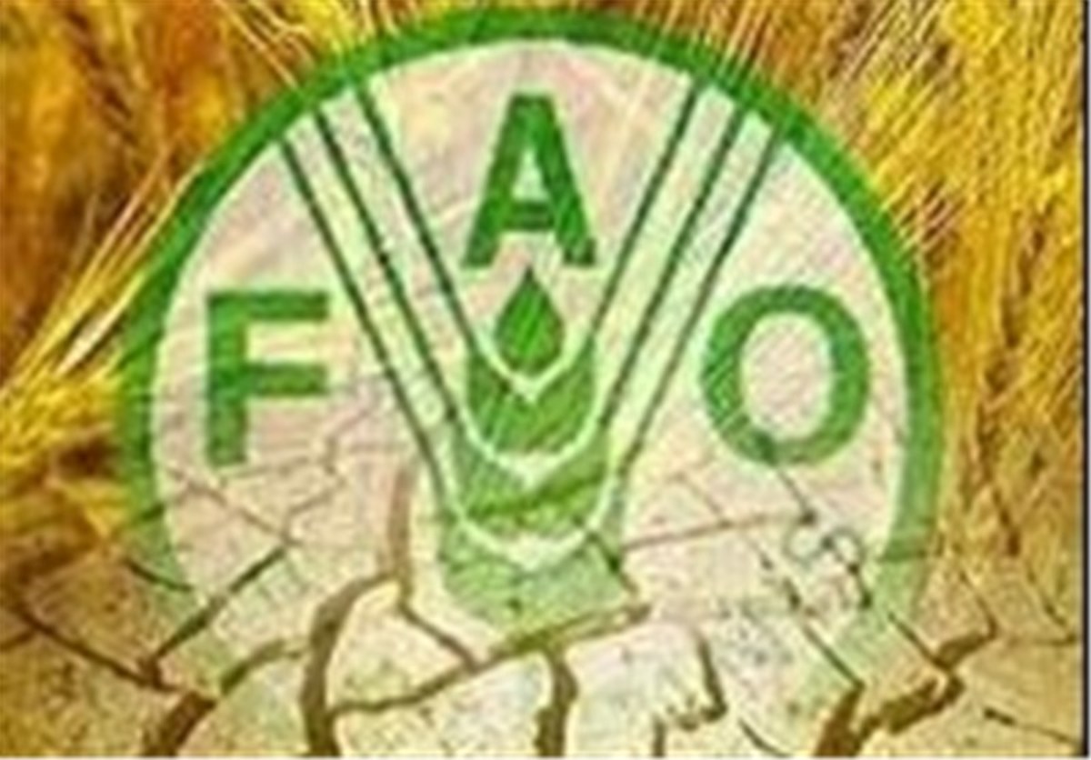 قیمت جهانی مواد غذایی به بالاترین رقم طی چند سال گذشته رسید