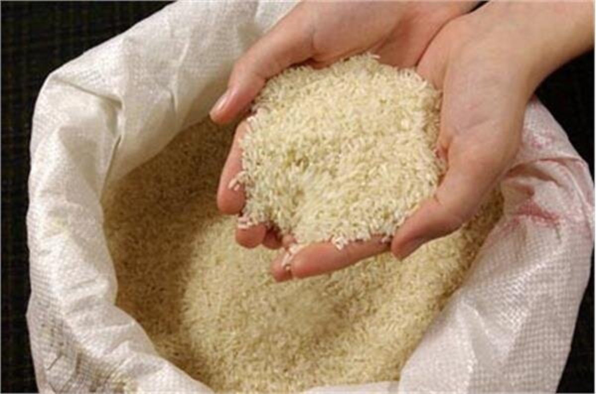 نماینده ساری: برنج ۹۰ هزار تومانی، ۳۵ هزار تومان خریداری شده است