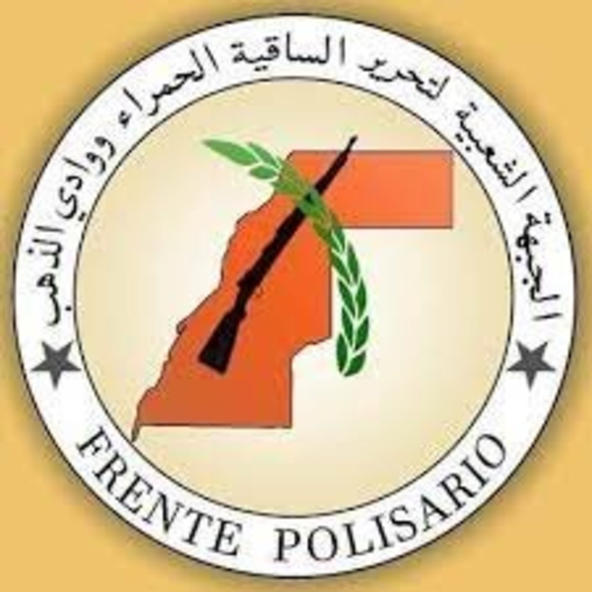 کشته شدن ۱۲ نظامی مراکشی در حملات ماه فوریه پولیساریو