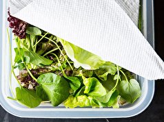 ترفندی برای جلوگیری از کپک زدن سبزیجات