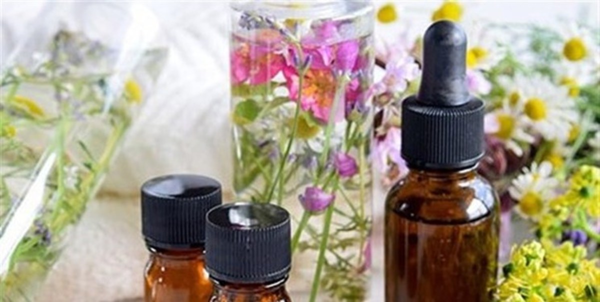 عرضه ۱۰ داروی گیاهی برای کاهش علائم کرونا به بازار