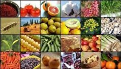 تعریف ۲۷۰ پروژه برای ارتقای کیفیت محصولات غذایی و کشاورزی با فناوری زیستی