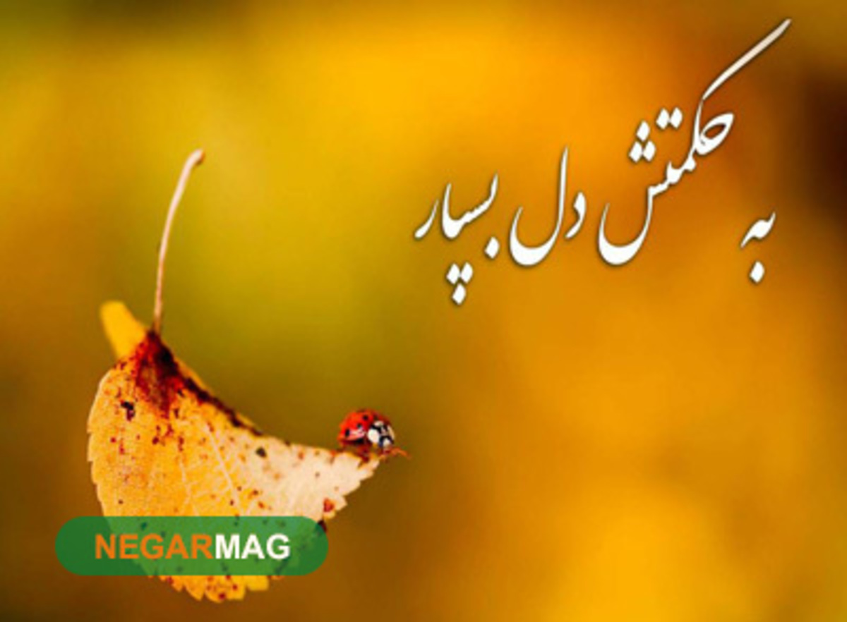 داستان‌ها و حکایت‌های حکمت خداوندی