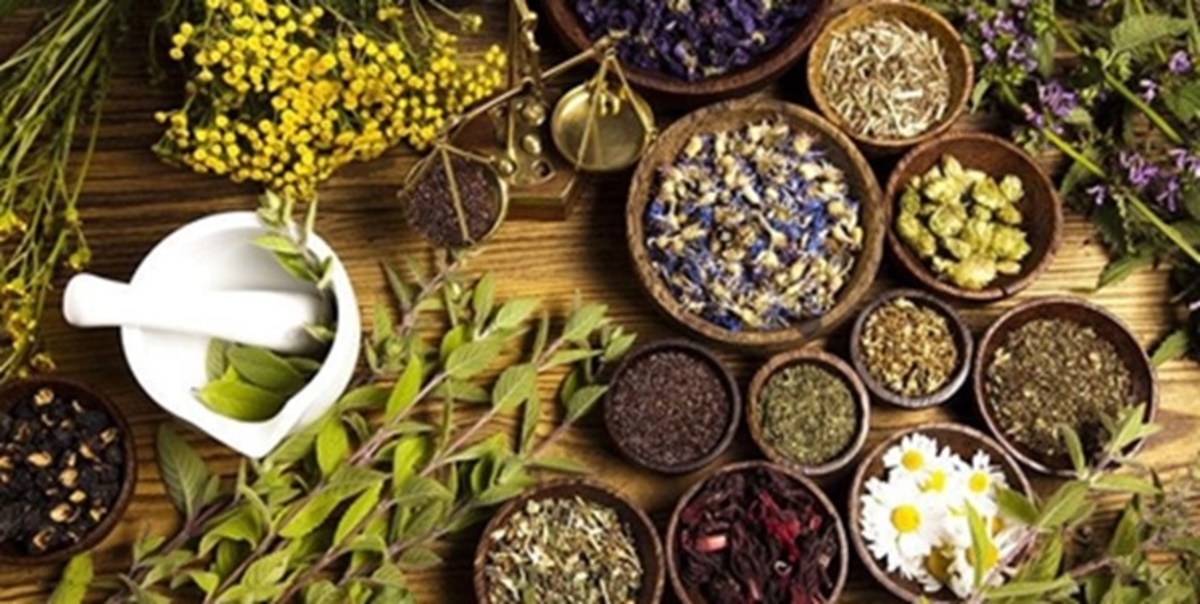 نوسازی صنعت گیاهان دارویی در اولویت قرار گرفت