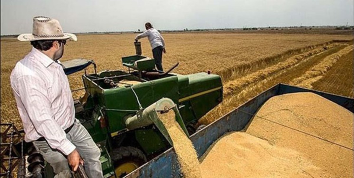 عقب نشینی قیمت کالا‌های اساسی از اوج قیمت‌ها در چهاردهمین روز تحولات اوکراین و روسیه