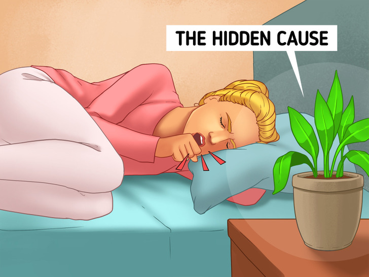 ۷ چیز عجیب که ممکن است باعث اختلال در چرخه خواب شما شود!