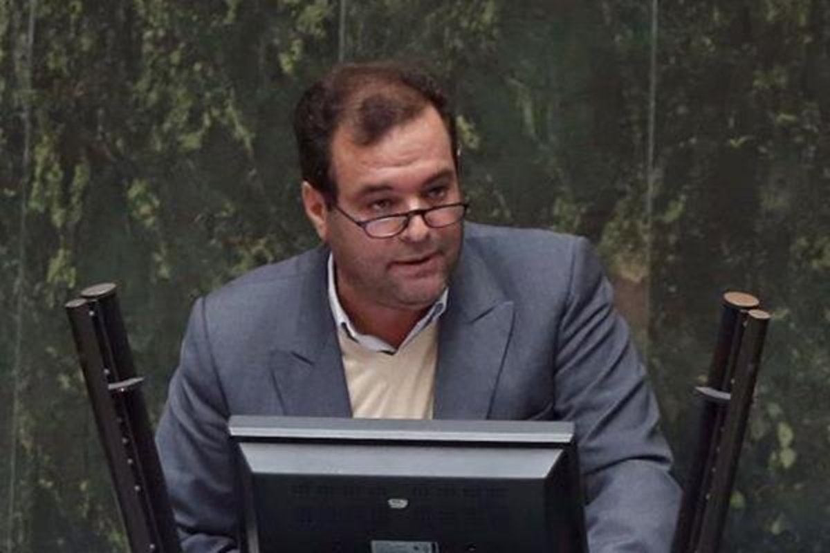 انتقاد یک نماینده مجلس از طولانی بودن زمان ابزار‌های نظارتی نمایندگان