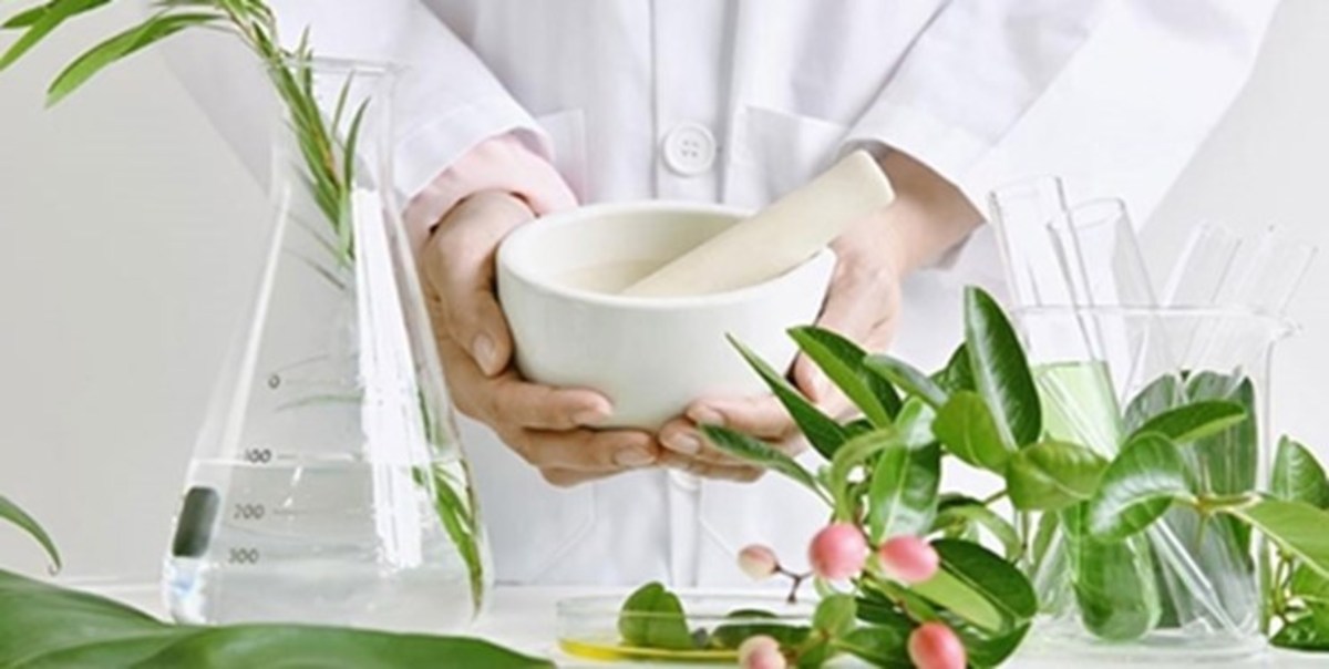 تدوین ۱۵ استاندارد برای محصولات اولویت‌دار گیاهان دارویی