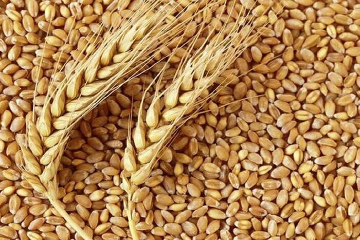 هشدار صندوق بین الملل در خصوص تاثیر جنگ اوکراین بر اقتصاد هند