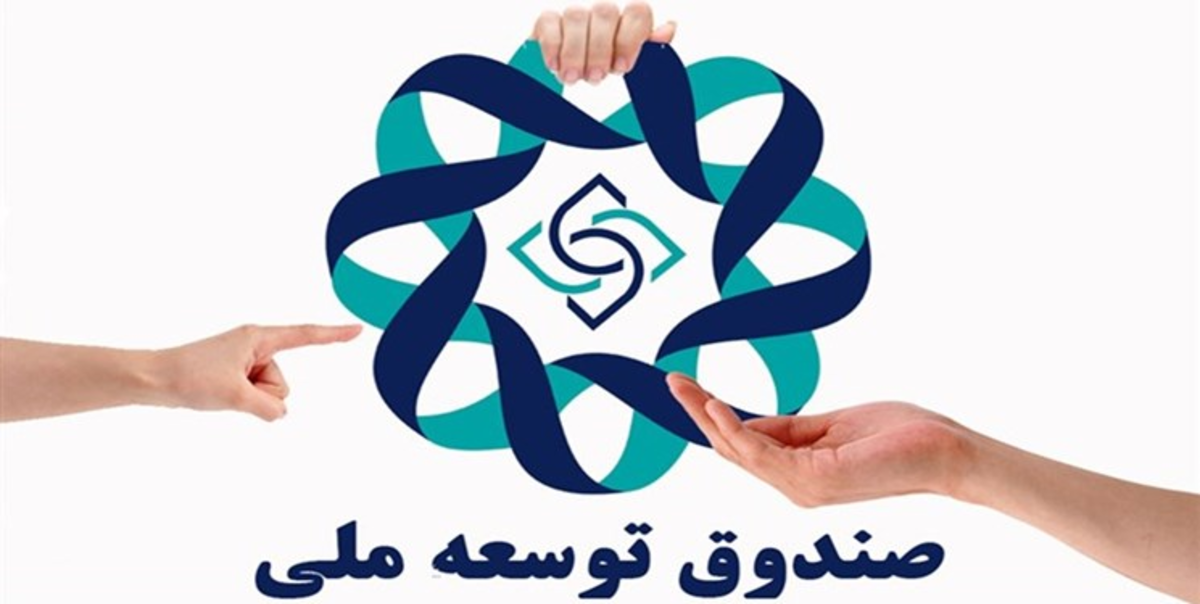 اجازه به دولت برای استفاده از منابع صندوق توسعه ملی در برخی پروژه‌ها