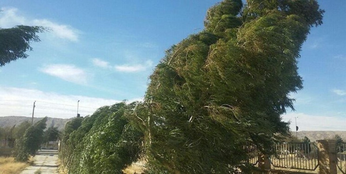 رگبار و رعد و برق به همراه باد شدید در برخی شهرها/ گرد و خاک در نیمه شرقی کشور