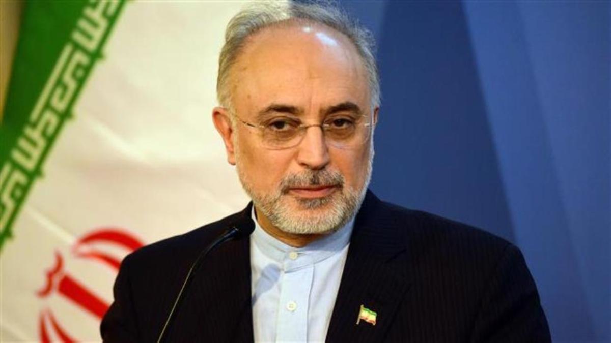 صالحی: برجام حقوق هسته‌ای ملت ایران را تثبیت کرد
