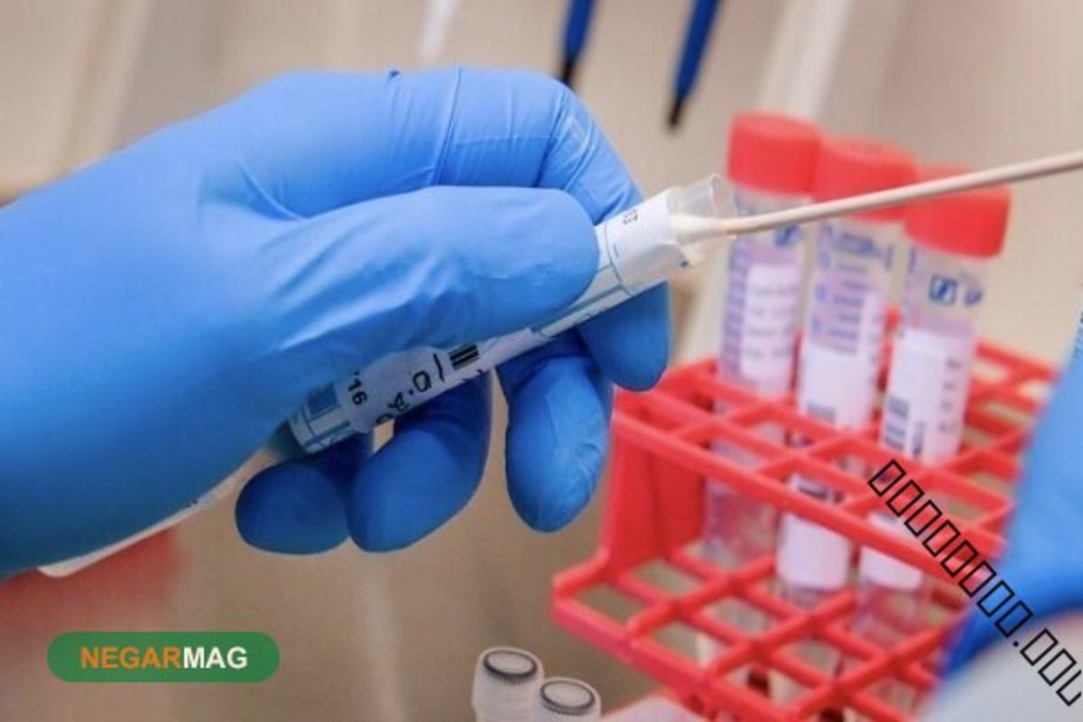 ۵۵ هزار تست pcr از مسافران در مرز‌ها گرفته شد