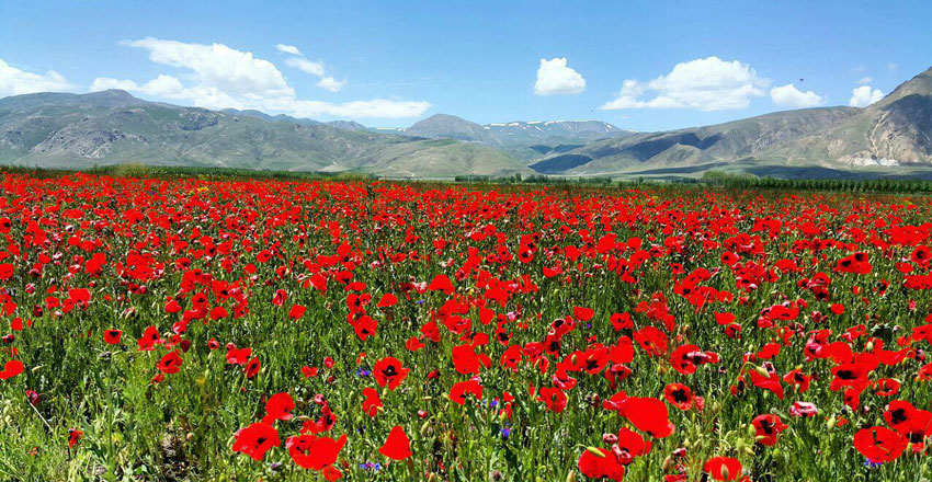 عجیب‌ترین جاذبه‌های گردشگری ایران