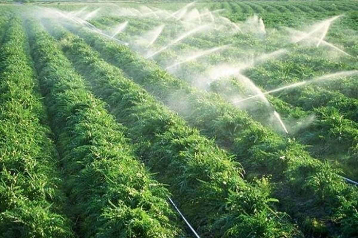 توسعه ۱۰۰ هزار هکتاری سامانه‌های نوین آبیاری