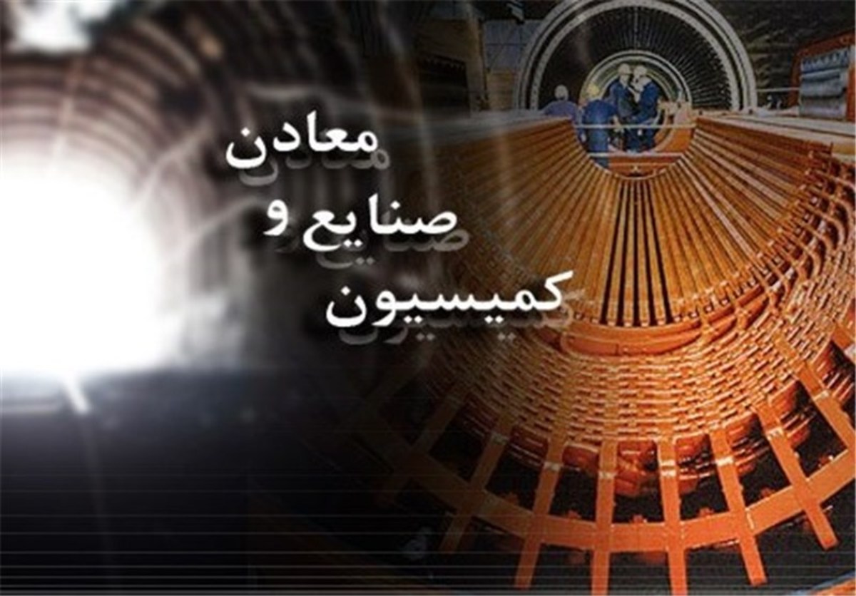 نمایندگان مجلس متولی جدید بیمه فعالان صنایع دستی را مشخص کردند