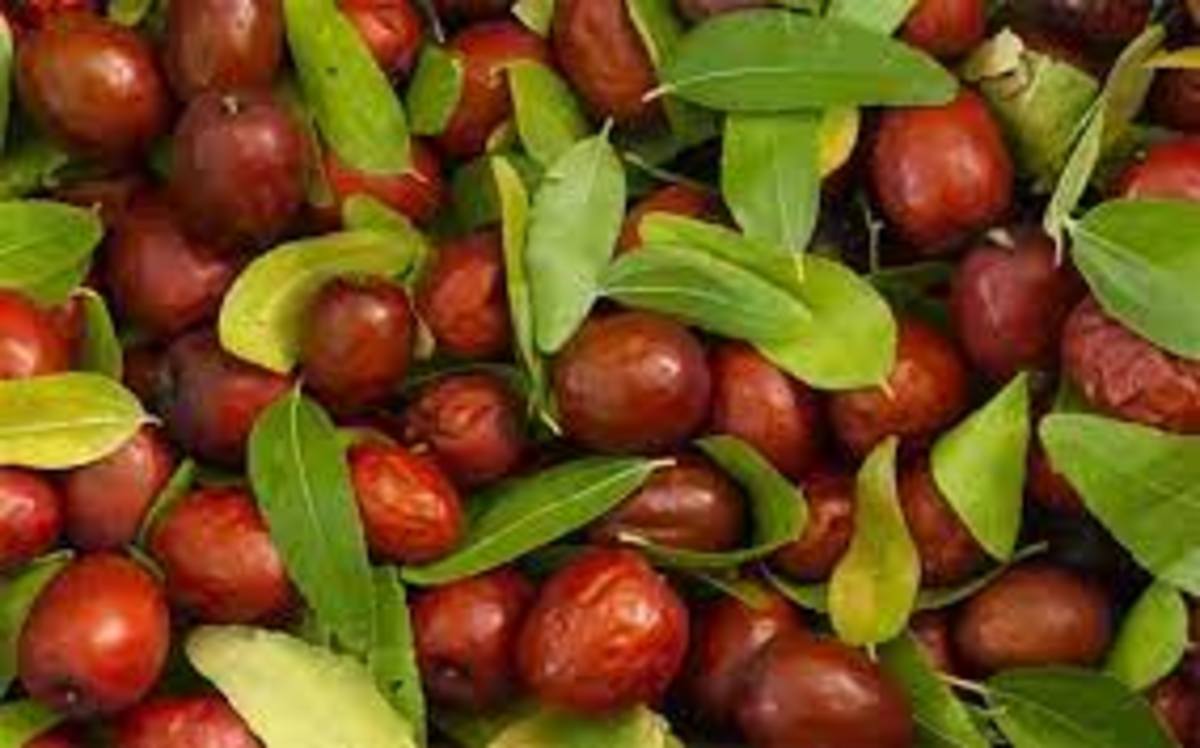 عناب و تجربه خوابی راحت