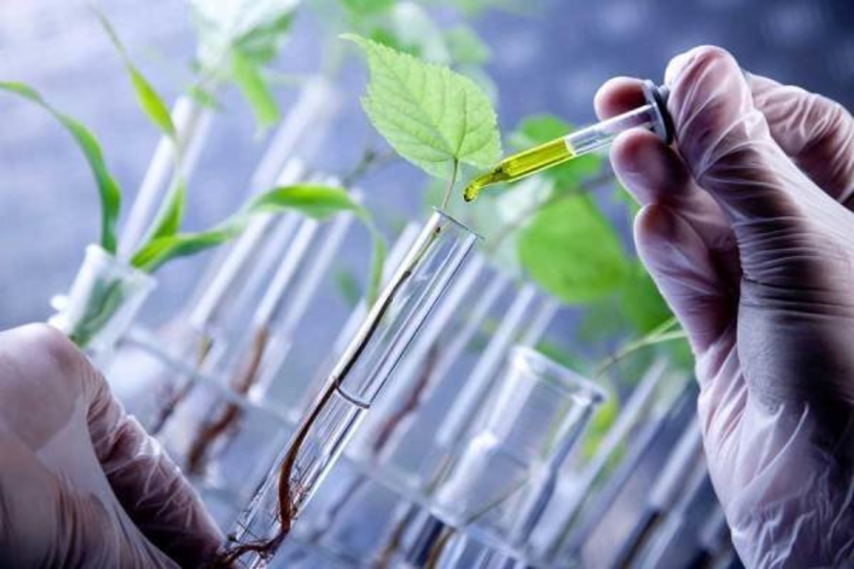 فعالیت نخستین شهرک زیست فناوری کشور کلید خورد