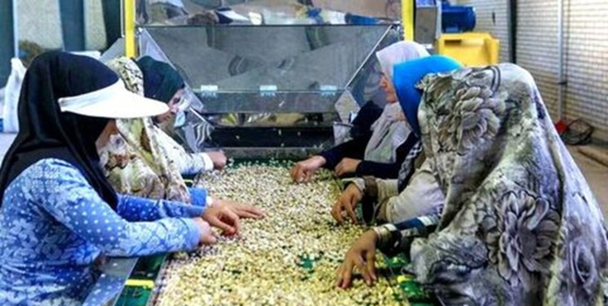 ایجاد ۸۵۲ هزار شغل در قالب مشاغل خانگی/ افزایش سقف تسهیلات به یک میلیارد ریال