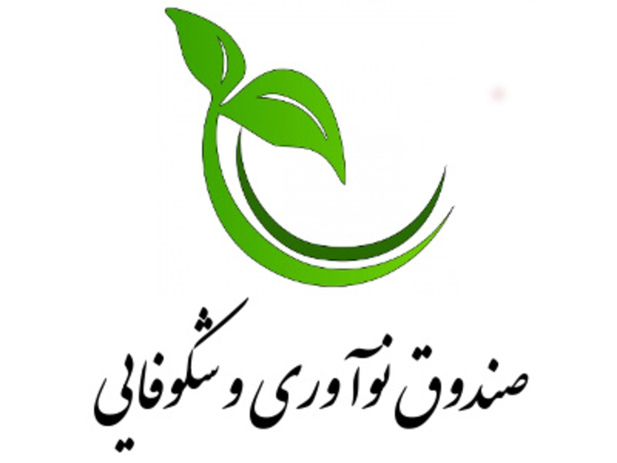 مشارکت صندوق نوآوری در ۴۸ طرح فناورانه از طریق «هم سرمایه گذاری»