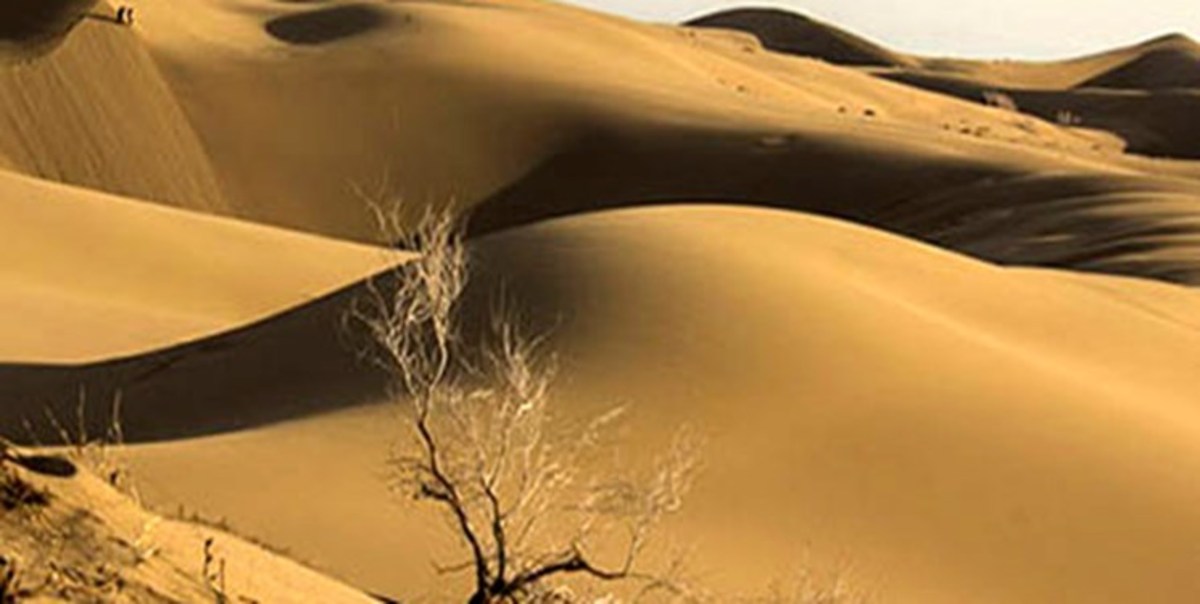 نجات دو کویرنورد پس از شش ساعت سردرگمی