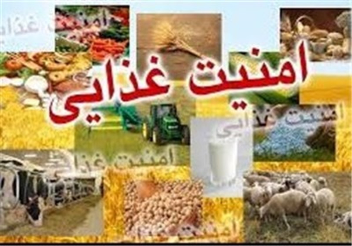 انتظار داریم نقش خوراک آماده در چرخه‌ی امنیت غذایی در دولت بعدی جدی گرفته شود