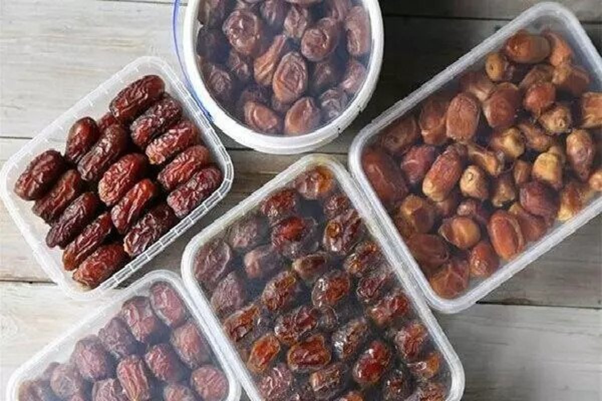 حمایت دولت از نخلداران برای فروش خرما با نرخ مناسب