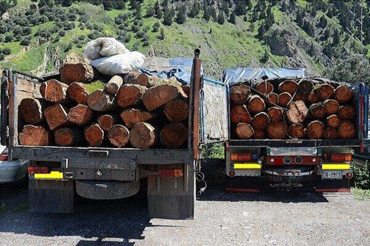 کشف ۱۱۰ میلیونی چوب‌های جنگلی قاچاق در رودسر