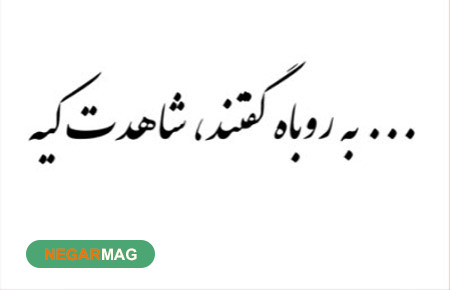 معنی و داستان ضرب المثل به روباه میگن شاهدت کیه؟...