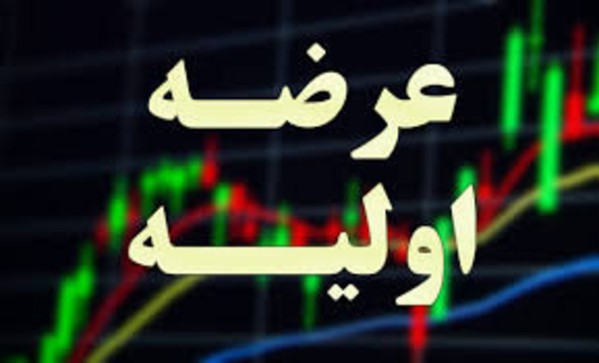 جزئیات عرضه اولیه یک شرکت فولادی در بورس