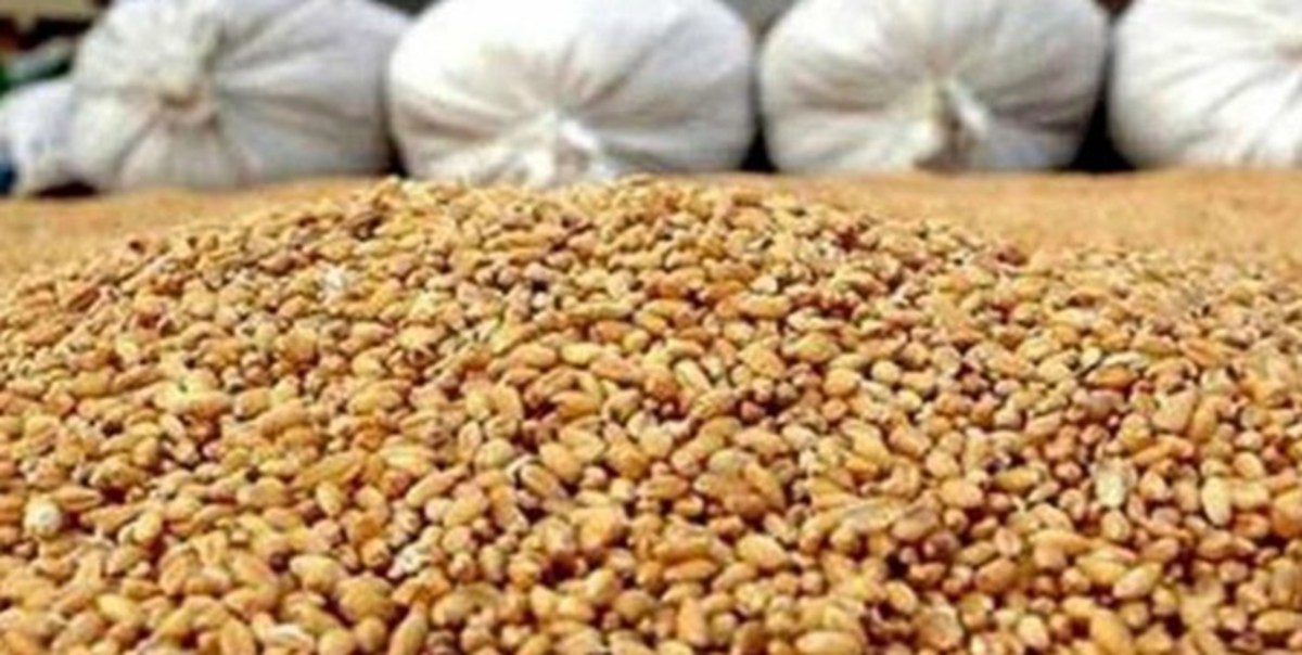دو مصوبه متفاوت درباره قیمت سبوس/ سرگردانی کارخانجات آرد در مورد قیمت عرضه سبوس