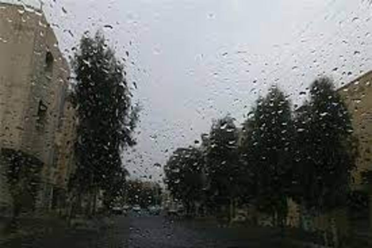 بارش پراکنده باران در مازندران و گیلان