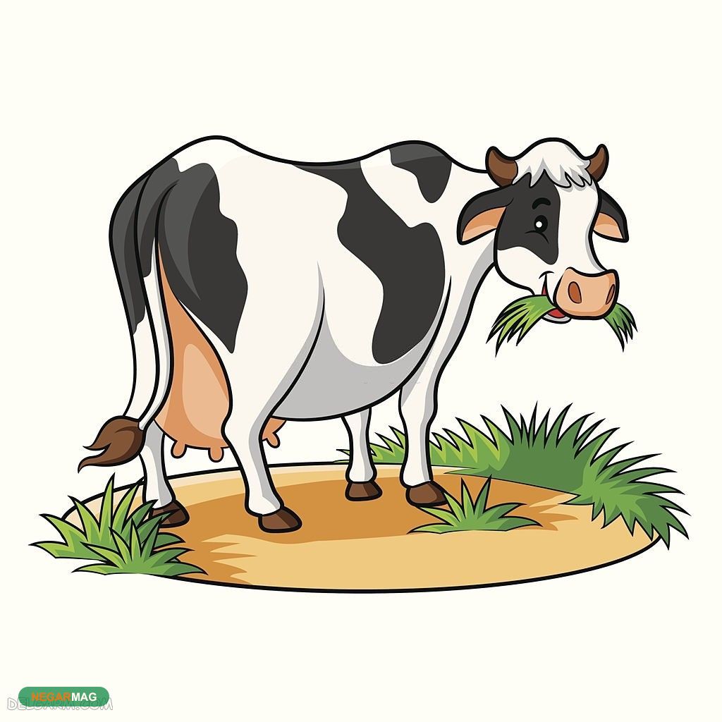 معنی ضرب المثل ایرانی تا گوساله گاو شود،.